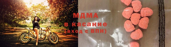 мяу мяу мука Аркадак